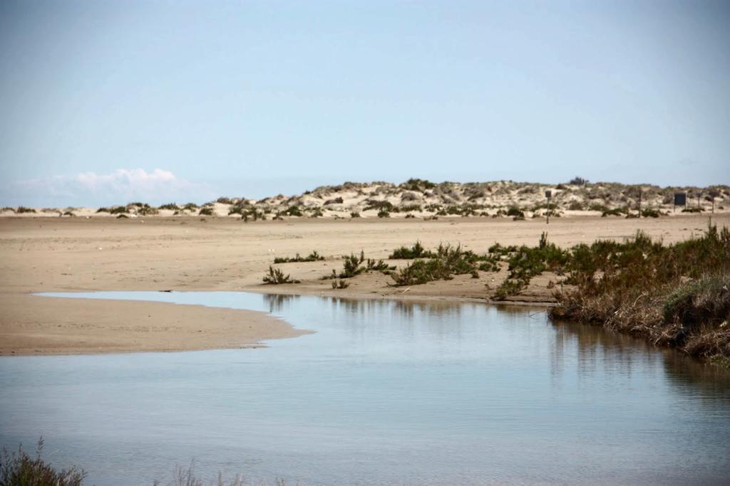 דלטברה Mi Apartamento En El Delta Del Ebro מראה חיצוני תמונה