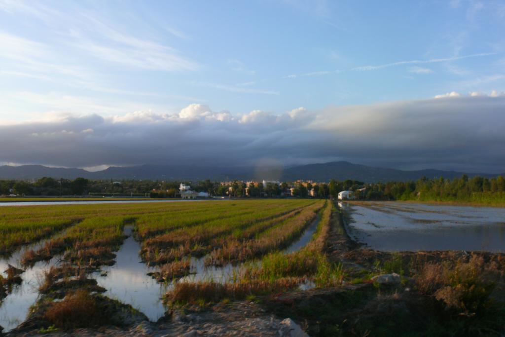 דלטברה Mi Apartamento En El Delta Del Ebro מראה חיצוני תמונה